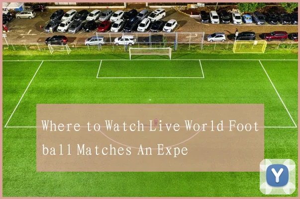 Where to Watch Live World Football Matches An Expe