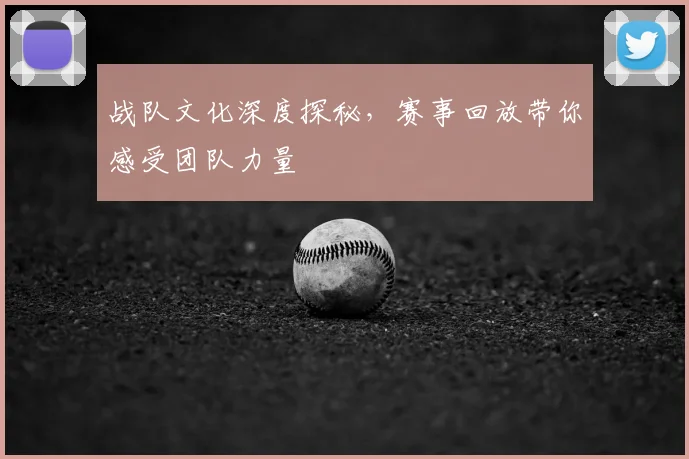 战队文化深度探秘，赛事回放带你感受团队力量